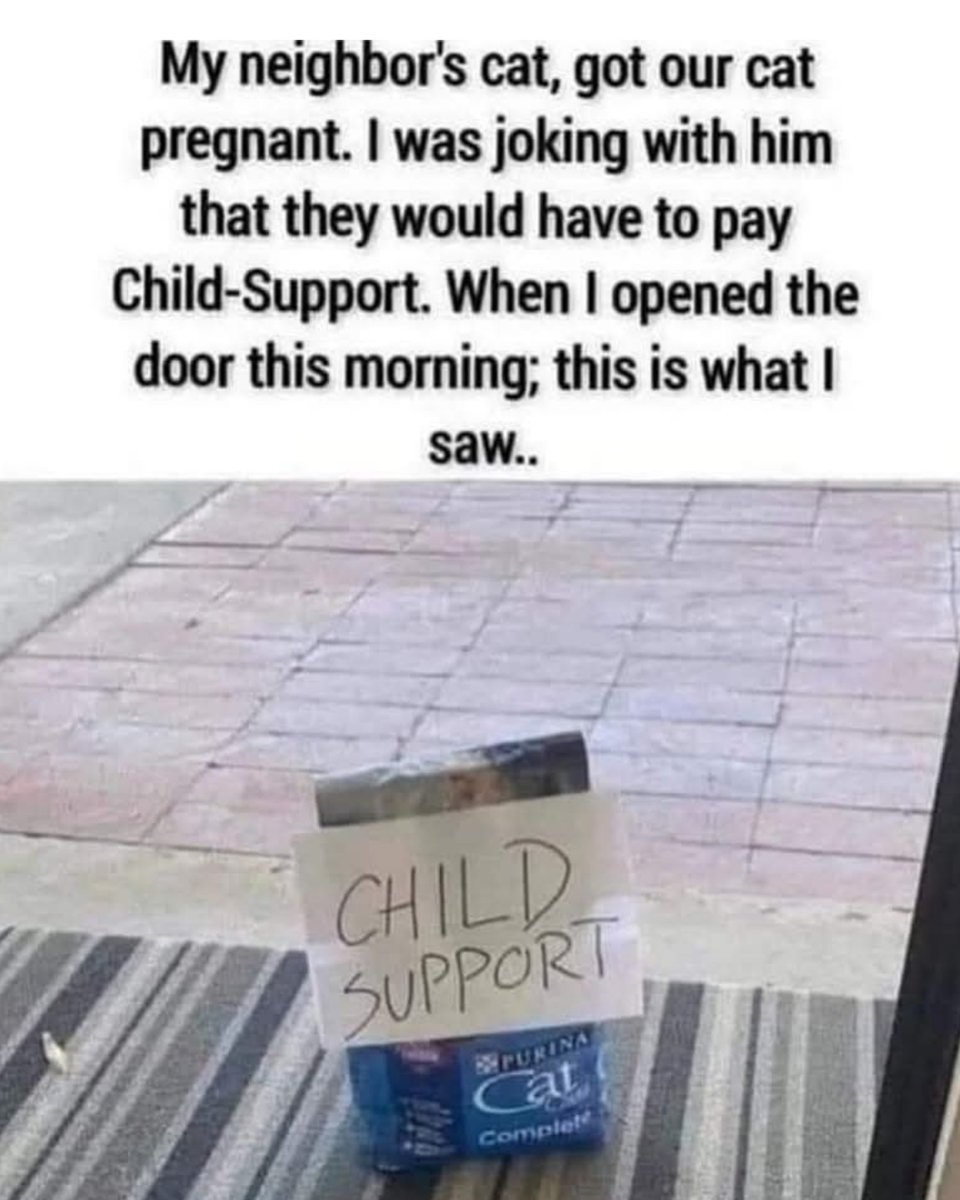 Cats - a wholesome thread 🧵

1.