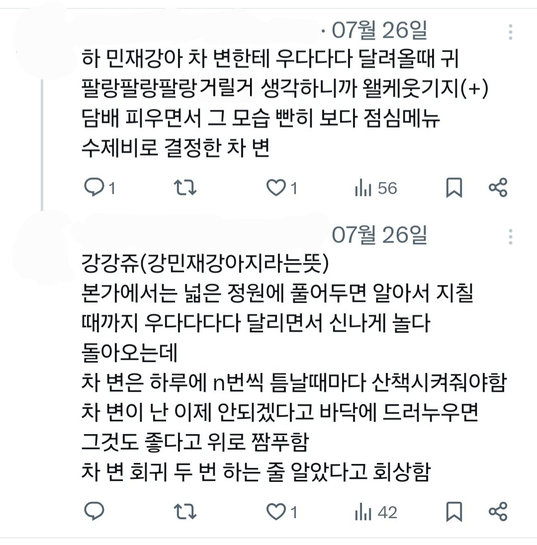 통밀 tweet media
