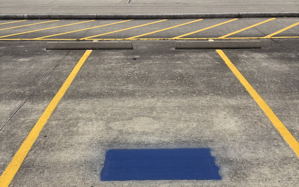 Tracy Bloomfield, M.Ed. tweet media