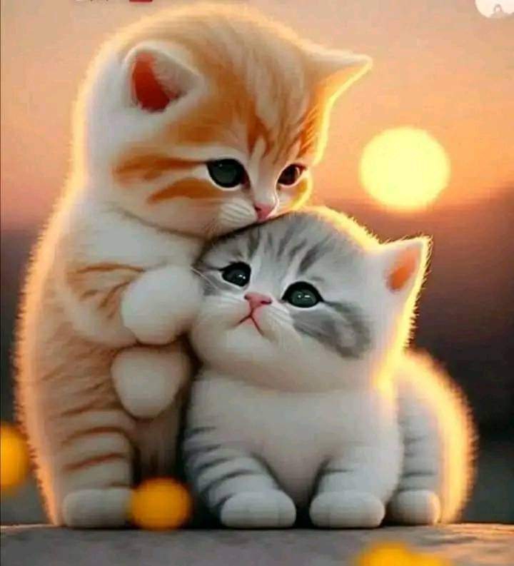Shahid (@786f_) on Twitter photo <a href="/Tnr_6/">Hafiz Tanveer Ahmad 🌐Official</a> <a href="/0fozi_/">Fauzia</a> <a href="/frq04/">Muhammad Farooq Ahmad</a> <a href="/Rnapti/">SHAHID💚PK</a>
<a href="/Fk0_1/">Shahid (lover pti)</a> <a href="/s4566_/">(PTI)</a> <a href="/S111_9/">SHAHID MEHMOOD</a> <a href="/786F_/">Shahid</a>
<a href="/shz787/">🌟⭐️🌟🌟sʜᴀʜᴢᴀᴅ ᴍᴜɴɪʀ🌟⭐️🌟⭐️</a> <a href="/shZ447/">𝕊𝕙𝕒𝕙𝕫𝕒𝕕 𝕄𝕦𝕟𝕚𝕣</a> <a href="/58Yas_/">Muhammad Yaseen</a>
<a href="/Tzb_1/">تہذیب</a> <a href="/1Lvz0/">𝐿𝒶v𝑒𝑒𝓏𝒶_🍃</a> <a href="/FK_71/">Fãhêêmkhãn</a>
<a href="/1i2Ua/">🇦 🇭 🇲 🇪 🇩 🇷 🇮 🇦 🇿𝓲𝓹𝓲𝓪𝓷</a> <a href="/1i3Ua/">🇦 🇭 🇲 🇪 🇩</a>
<a href="/7Ambr/">Amber Baig</a>
<a href="/0MRK_/">Mahrukh Khan</a>
#PAK_PG
<a href="/frq05/">Farooq Ahmad</a>
<a href="/frq06/">Farooq</a>
<a href="/imrnv/">CH Imran</a> <a href="/imra0b/">Goat city Form</a> <a href="/TP7i1/">★☯𝑩𝒉𝒂𝒊༒〄</a>
<a href="/Khld36/">✍𝙆𝙝𝙖𝙡𝙞𝙙 𝙃𝙪𝙨𝙖𝙞𝙣✍⳼</a> <a href="/Frhn42/">★𝙁𝙧𝙝𝙖𝙣 𝘼𝙝𝙢𝙚𝙙★</a> <a href="/Trq88/">✍︎⸙𝐓αɾιϙ 𝐌υɾƚαȥα࿈</a>
<a href="/Triq25/">⤹𝙈𝙪𝙝𝙖𝙢𝙢𝙖𝙙 𝙏𝙖𝙧𝙞𝙦⤸</a> <a href="/Bla_Here/">🅰🅱🅳🆄🅻🅻🅰🅷𝓲𝓹𝓲𝓪𝓷</a> <a href="/Pti0_1/">Shahid</a>
<a href="/Jann064/">Ahmad Jan</a> <a href="/6Jan11/">jan</a> <a href="/_ah064/">Ahmad</a>
<a href="/frq_3/">farooq mughal</a> <a href="/_0zoi/">Zoya Hamid</a> <a href="/F7861_/">Rana Fahid</a> <a href="/P0_27/">SANA PTI</a> <a href="/Tnr_6/">Hafiz Tanveer Ahmad 🌐Official</a> <a href="/0fozi_/">Fauzia</a> <a href="/frq04/">Muhammad Farooq Ahmad</a> <a href="/Rnapti/">SHAHID💚PK</a>
<a href="/Fk0_1/">Shahid (lover pti)</a> <a href="/s4566_/">(PTI)</a> <a href="/S111_9/">SHAHID MEHMOOD</a> <a href="/786F_/">Shahid</a>
<a href="/shz787/">🌟⭐️🌟🌟sʜᴀʜᴢᴀᴅ ᴍᴜɴɪʀ🌟⭐️🌟⭐️</a> <a href="/shZ447/">𝕊𝕙𝕒𝕙𝕫𝕒𝕕 𝕄𝕦𝕟𝕚𝕣</a> <a href="/58Yas_/">Muhammad Yaseen</a>
<a href="/Tzb_1/">تہذیب</a> <a href="/1Lvz0/">𝐿𝒶v𝑒𝑒𝓏𝒶_🍃</a> <a href="/FK_71/">Fãhêêmkhãn</a>
<a href="/1i2Ua/">🇦 🇭 🇲 🇪 🇩 🇷 🇮 🇦 🇿𝓲𝓹𝓲𝓪𝓷</a> <a href="/1i3Ua/">🇦 🇭 🇲 🇪 🇩</a>
<a href="/7Ambr/">Amber Baig</a>
<a href="/0MRK_/">Mahrukh Khan</a>
#PAK_PG
<a href="/frq05/">Farooq Ahmad</a>
<a href="/frq06/">Farooq</a>
<a href="/imrnv/">CH Imran</a> <a href="/imra0b/">Goat city Form</a> <a href="/TP7i1/">★☯𝑩𝒉𝒂𝒊༒〄</a>
<a href="/Khld36/">✍𝙆𝙝𝙖𝙡𝙞𝙙 𝙃𝙪𝙨𝙖𝙞𝙣✍⳼</a> <a href="/Frhn42/">★𝙁𝙧𝙝𝙖𝙣 𝘼𝙝𝙢𝙚𝙙★</a> <a href="/Trq88/">✍︎⸙𝐓αɾιϙ 𝐌υɾƚαȥα࿈</a>
<a href="/Triq25/">⤹𝙈𝙪𝙝𝙖𝙢𝙢𝙖𝙙 𝙏𝙖𝙧𝙞𝙦⤸</a> <a href="/Bla_Here/">🅰🅱🅳🆄🅻🅻🅰🅷𝓲𝓹𝓲𝓪𝓷</a> <a href="/Pti0_1/">Shahid</a>
<a href="/Jann064/">Ahmad Jan</a> <a href="/6Jan11/">jan</a> <a href="/_ah064/">Ahmad</a>
<a href="/frq_3/">farooq mughal</a> <a href="/_0zoi/">Zoya Hamid</a> <a href="/F7861_/">Rana Fahid</a> <a href="/P0_27/">SANA PTI</a>