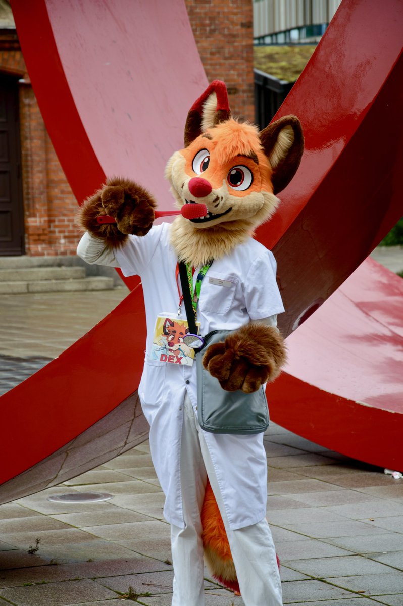 Who wanna get their fangs brushed by ye dentist foxo this #FursuitFriday
🪡&amp;📸 by <a href="/LorfyTheFox/">🐾 Lorfy 🐾</a>