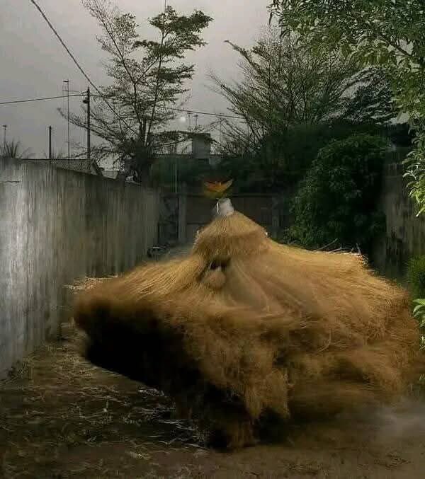 Silêncio... O Rei está entre nós! 🖤
Bem vindo Agosto !