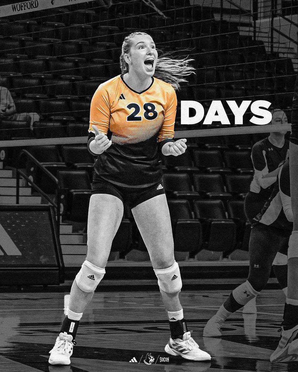 Wofford Volleyball (@woffordvb) on Twitter photo We’re less than a month out! Only Anna Adcock days until we hit the court against Georgia Tech!
#ConquerAndPrevail We’re less than a month out! Only Anna Adcock days until we hit the court against Georgia Tech!
#ConquerAndPrevail