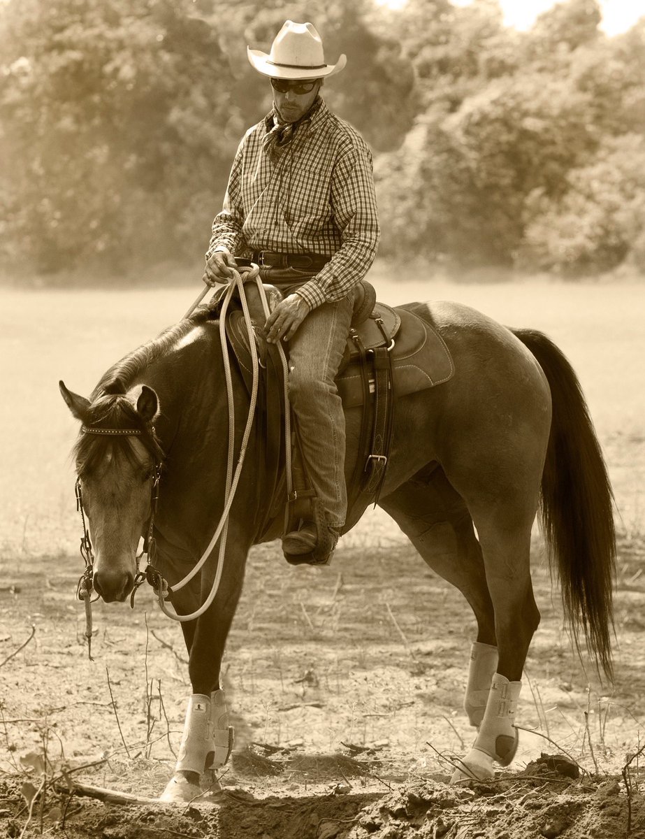 “I’d rather saddle up instead, and ride my pony up to whisky basin— give my attitude an alteration.” #WhiskyBasin #SkipEwing