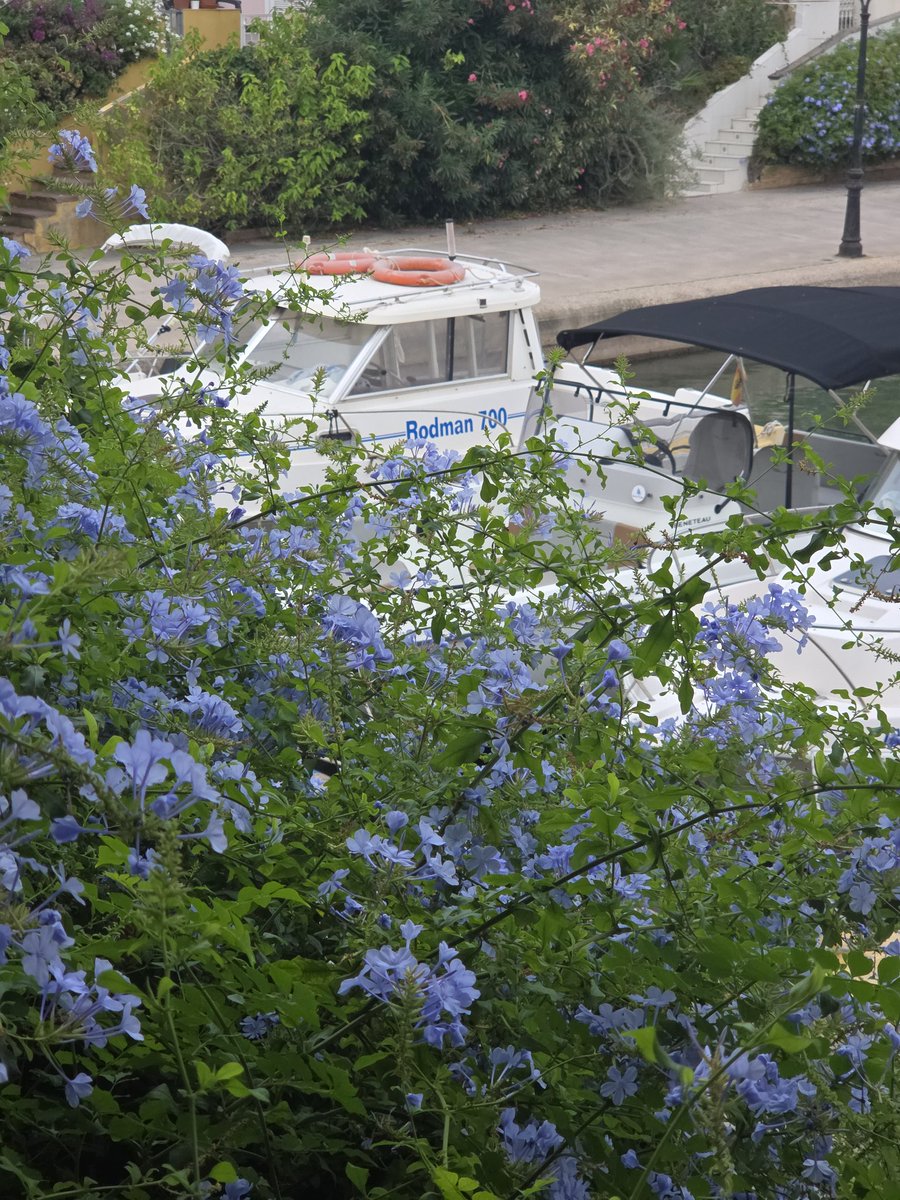 Наконец-то пятница, сил уже нет