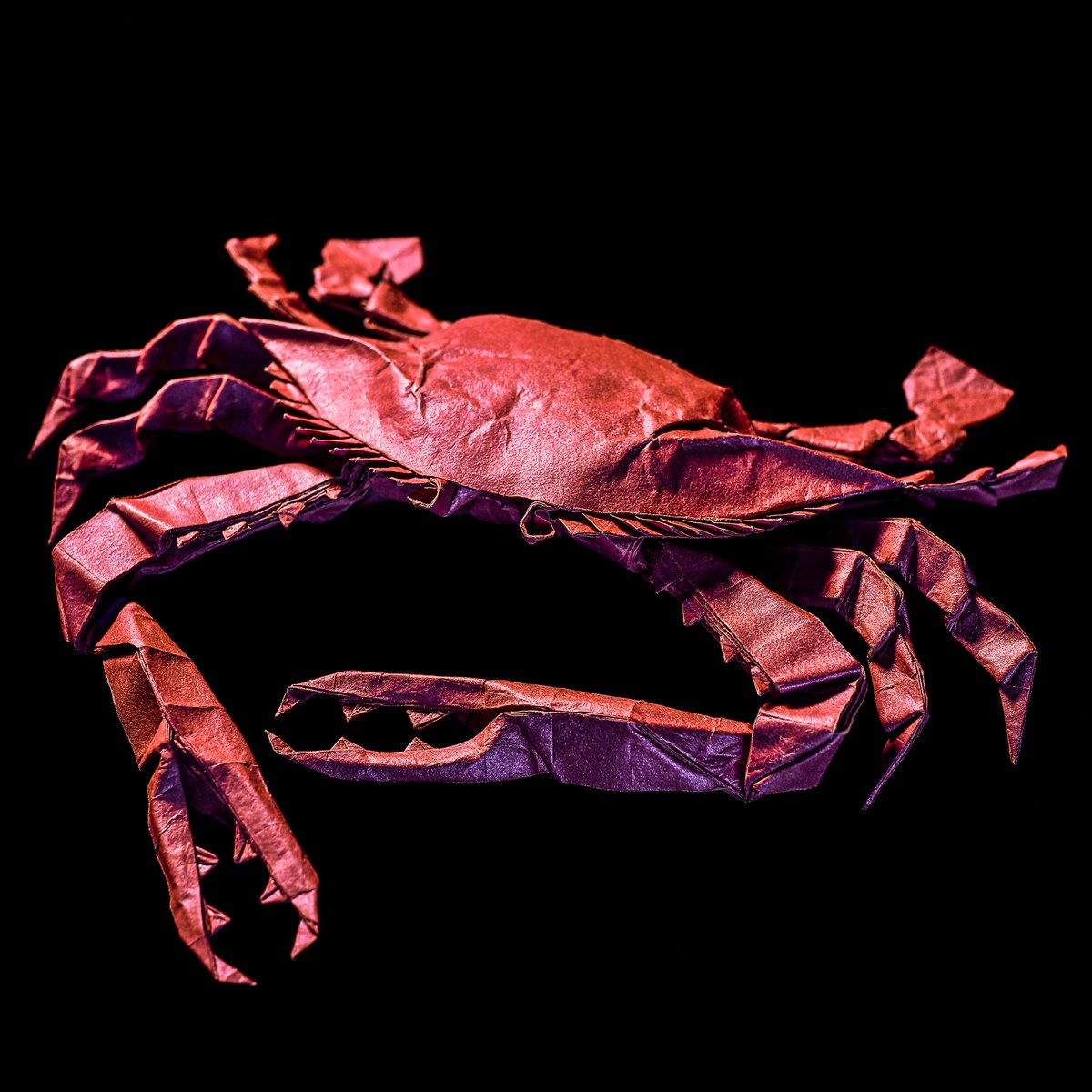 ガザミ🦀
56等分
創作:僕

#折り紙 #カニ #Origami #crab