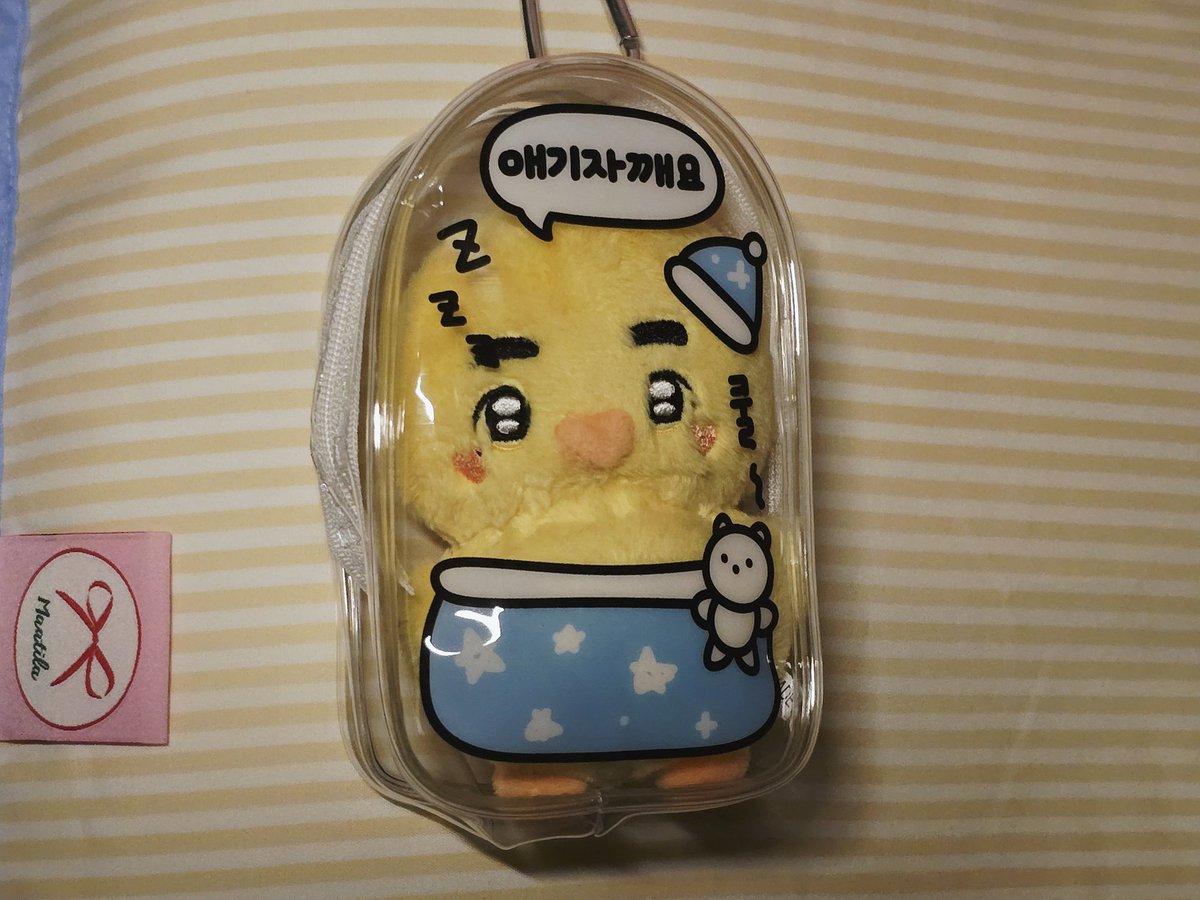 🐥새벽 산들시💚
애기 잘쟈~💖🌙✨️