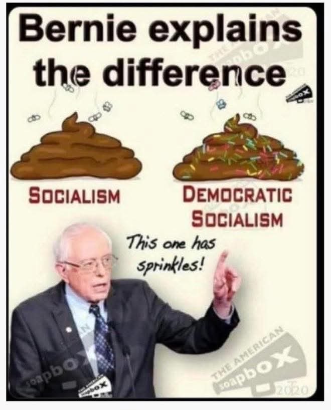A friendly PSA from little Bernie...😂