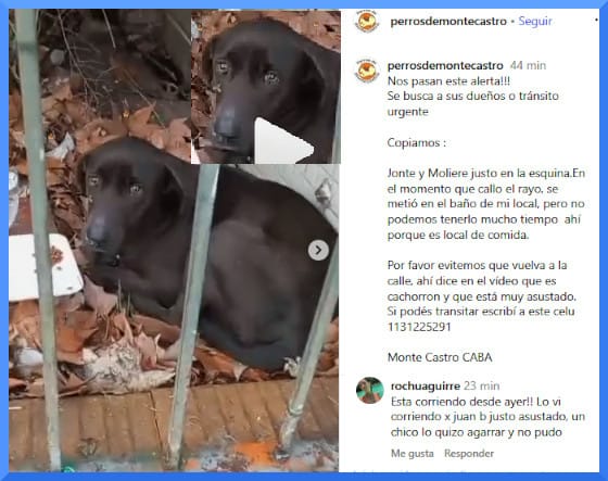 Patri tweet media