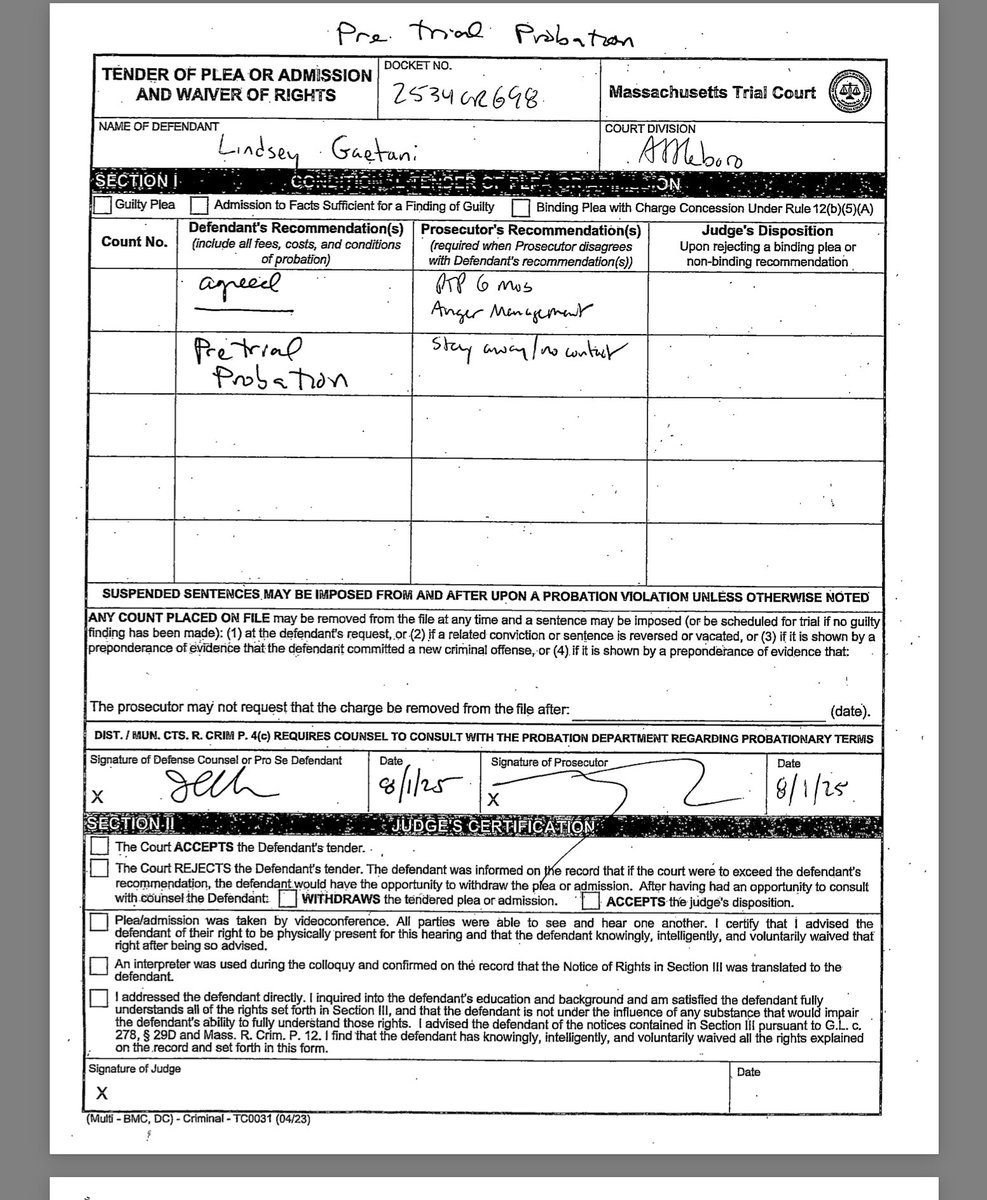 💥TurtleBoy’s former fling Lindsay Geatani, who helped Brian Tully frame him takes a plea deal in her threats case.