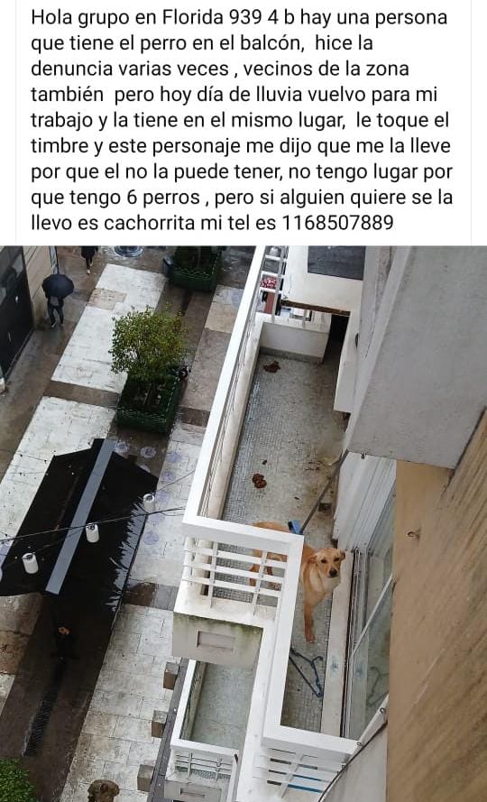 Rt
Denuncien vecinos!!!!
Que les caiga la multa x maltratoo