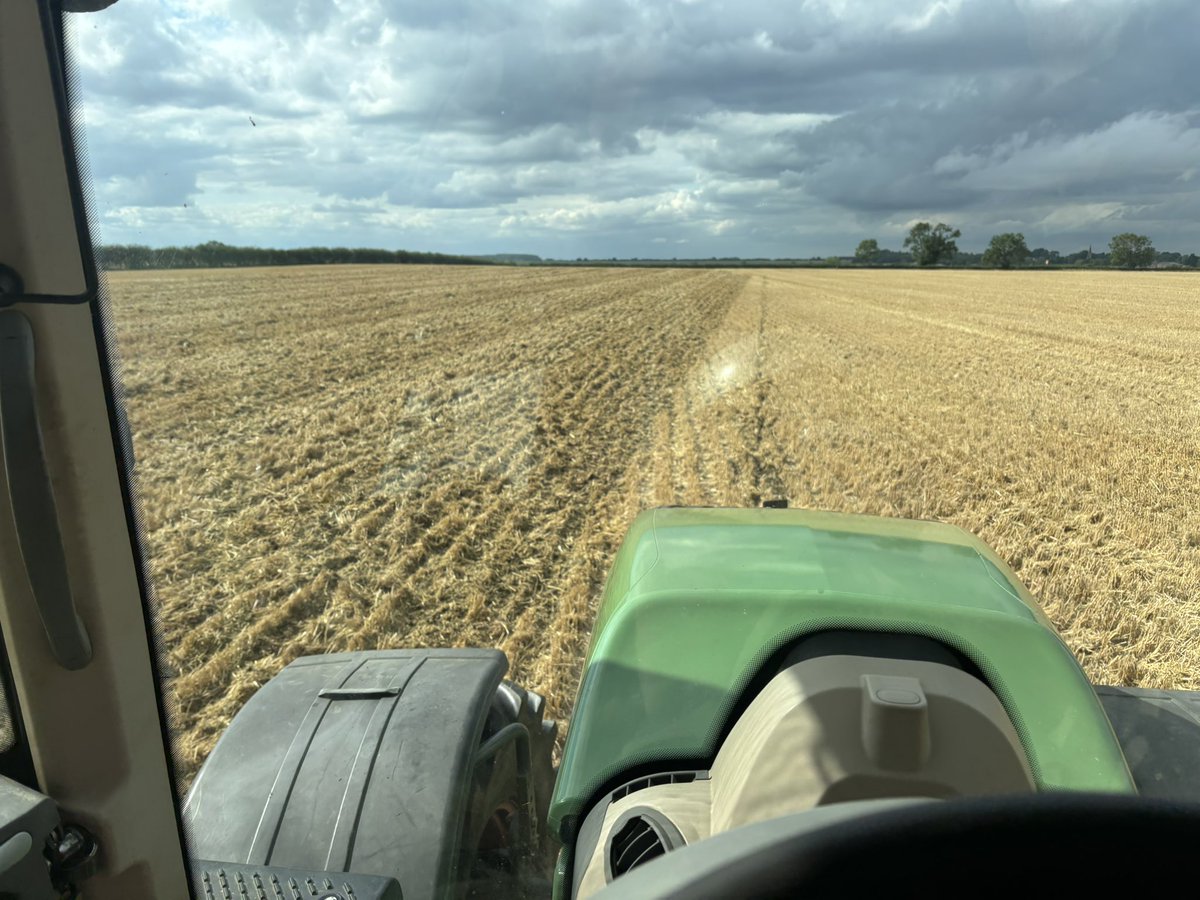 After a year off, rolling the dice &amp; popping some <a href="/KWSUKLtd/">KWS UK Ltd</a> Hinsta in to some lovely conditions this afternoon.