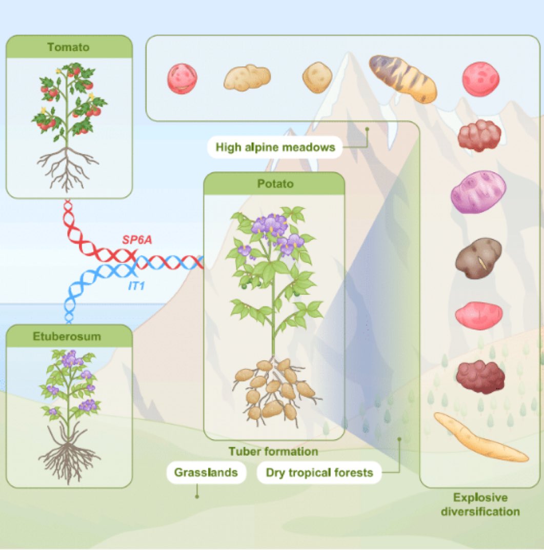 Patrick Hsu tweet media