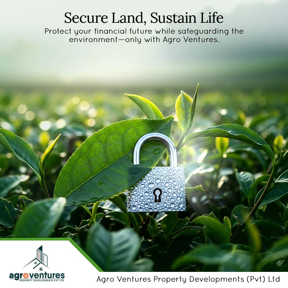 agrovenprodevep's tweet image. 𝗟𝗲𝘁 𝗡𝗮𝘁𝘂𝗿𝗲 𝗪𝗼𝗿𝗸 𝗳𝗼𝗿 𝗬𝗼𝘂: 𝗜𝗻𝘃𝗲𝘀𝘁 𝗶𝗻 𝗣𝗿𝗼𝘀𝗽𝗲𝗿𝗼𝘂𝘀 𝗚𝗿𝗲𝗲𝗻 𝗟𝗮𝗻𝗱𝘀. 🌿💰

𝗖𝗼𝗻𝘁𝗮𝗰𝘁 𝗪𝗶𝘁𝗵 𝗨𝘀:
🎯No.48, Sir Marcus Fernando Mawatha, Colombo 03.
☎️0112 121 959

#AgroVenturesProperty #NatureInvestment #SustainableIncome