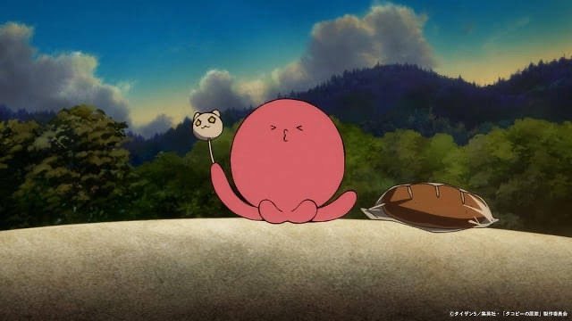 しろのん🤍🐈🐾 ◢ ➕✖️◤ on X