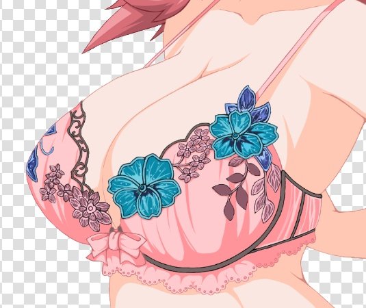 ルキアちゃんのブラをずっと見ていたい人生… 