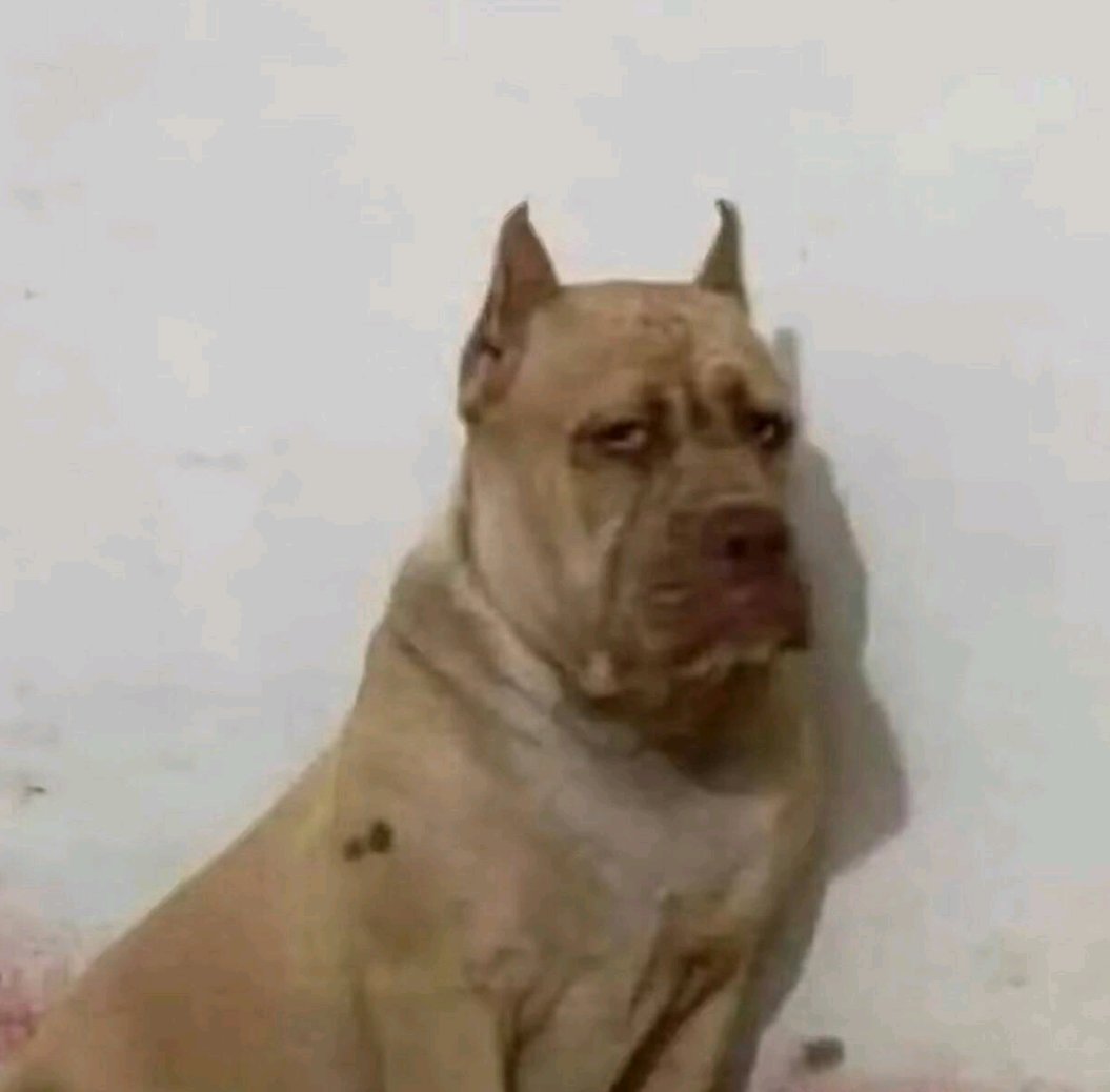Hola