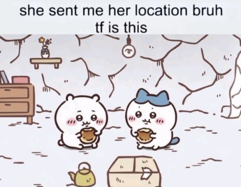 usagi (@usagidarabbit) on Twitter photo 