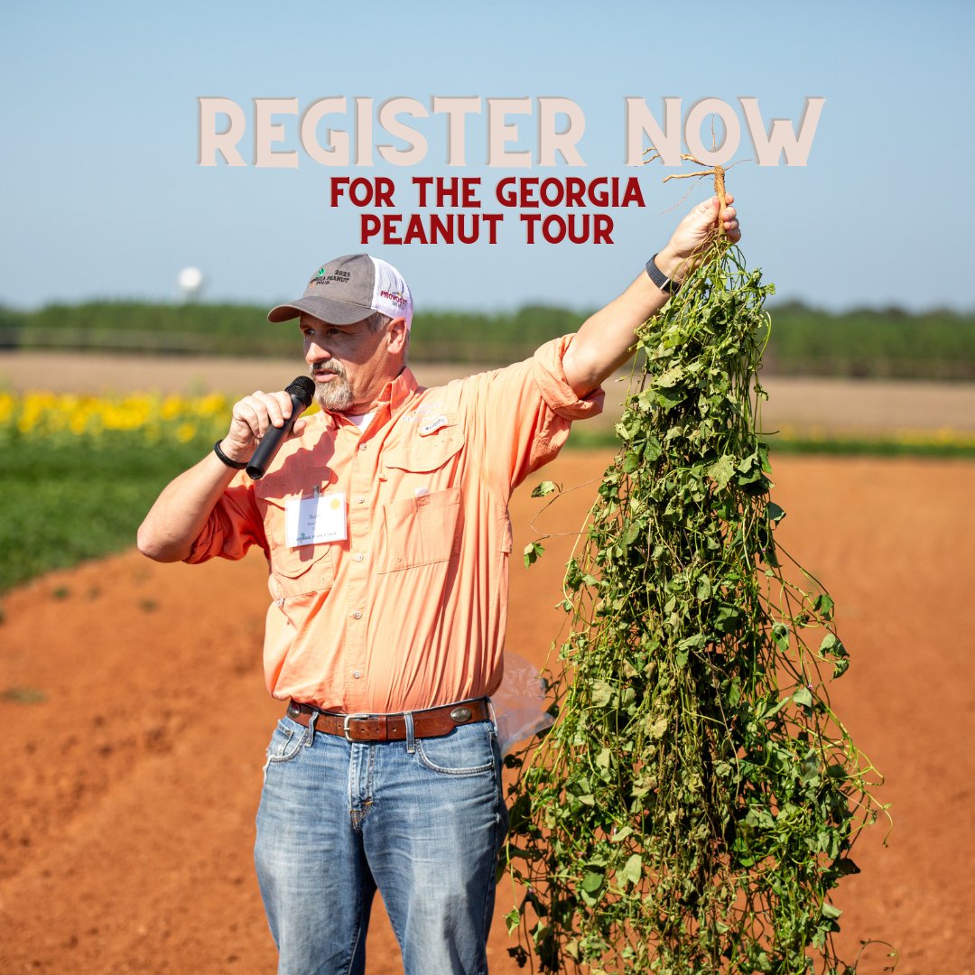 📍Mark your calendar! The 37th annual Georgia Peanut Tour is set for September 16–18, 2025, in Valdosta, Georgia, and the surrounding area.

🥜This unique tour offers the latest insights on peanut production and provides a behind-the-scenes look at the industry—from the field to