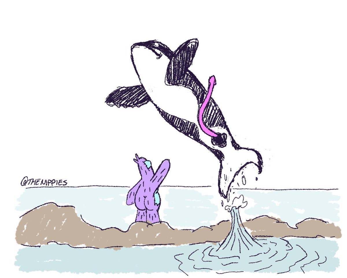 <a href="/orca_so/">Orca 🌊</a> Willy