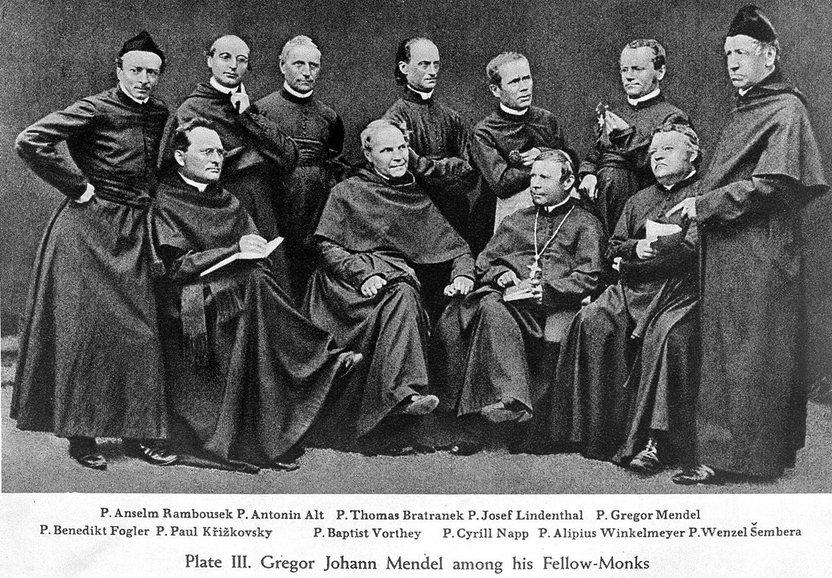 Some fun facts about Gregor Mendel:

1. He smoked 20 cigars a day.
2. He bred more than 10,000 plants to make his genetics discoveries.
3. In his obituary, he was mostly remembered as a great beekeeper.
4. Most of his papers were burned after his death.