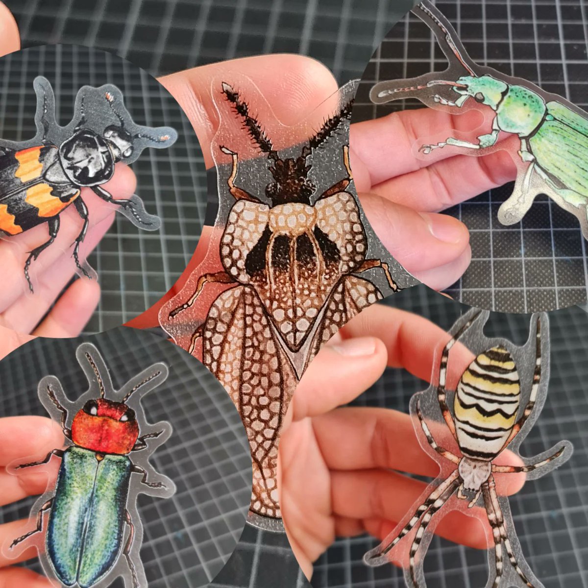 Svenja Meyer (@fminifera) on Twitter photo 📣 Shop update with these fresh translucent stickers and more 🐞🕷🪲
smartwork.bigcartel.com 📣 Shop update with these fresh translucent stickers and more 🐞🕷🪲
smartwork.bigcartel.com