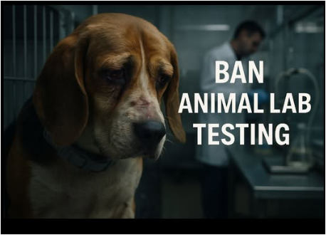 The protest against Animal Lab Testing outside Trinity College will resume tomorrow Saturday from 1030am to 1230pm. We will be based on the plaza opposite the main gates.  #BanAnimalLabTesting