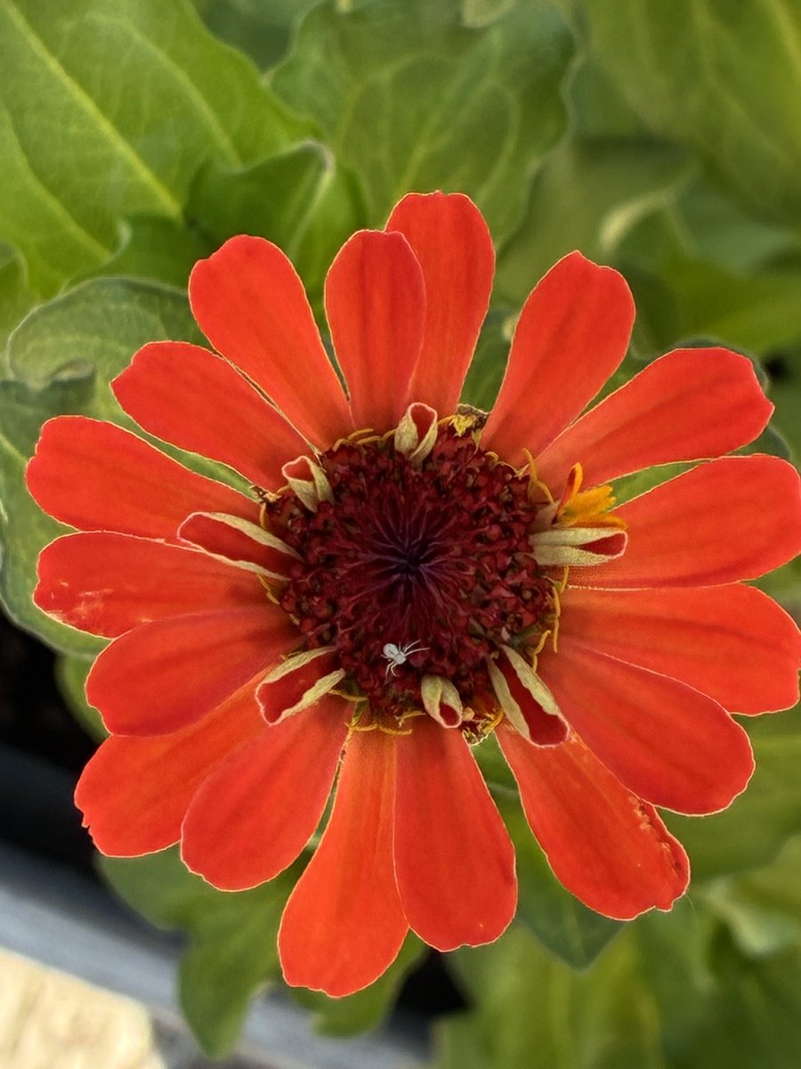 Laura Roach tweet media