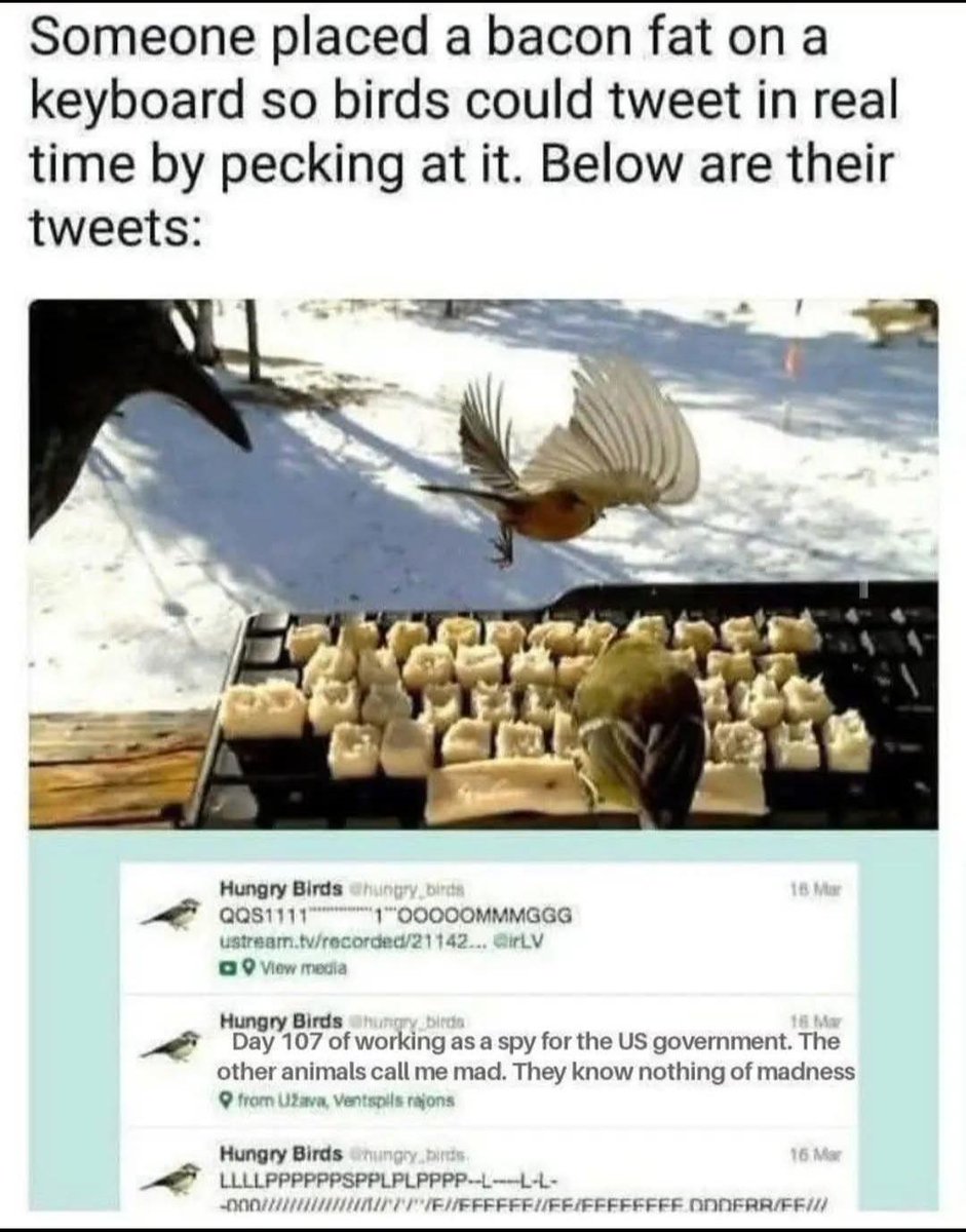 ManMilk2's tweet image. 