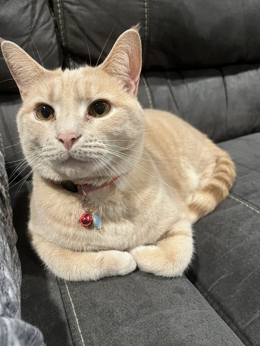 Taylor ツ tweet media