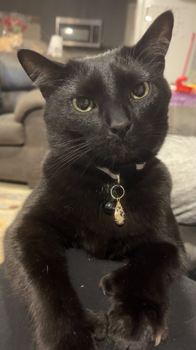 Taylor ツ tweet media