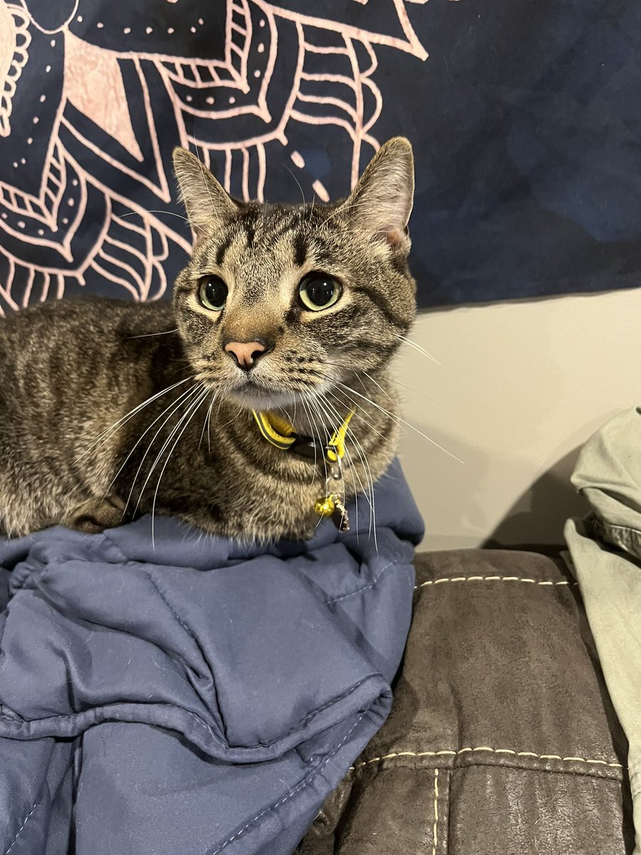 Taylor ツ tweet media