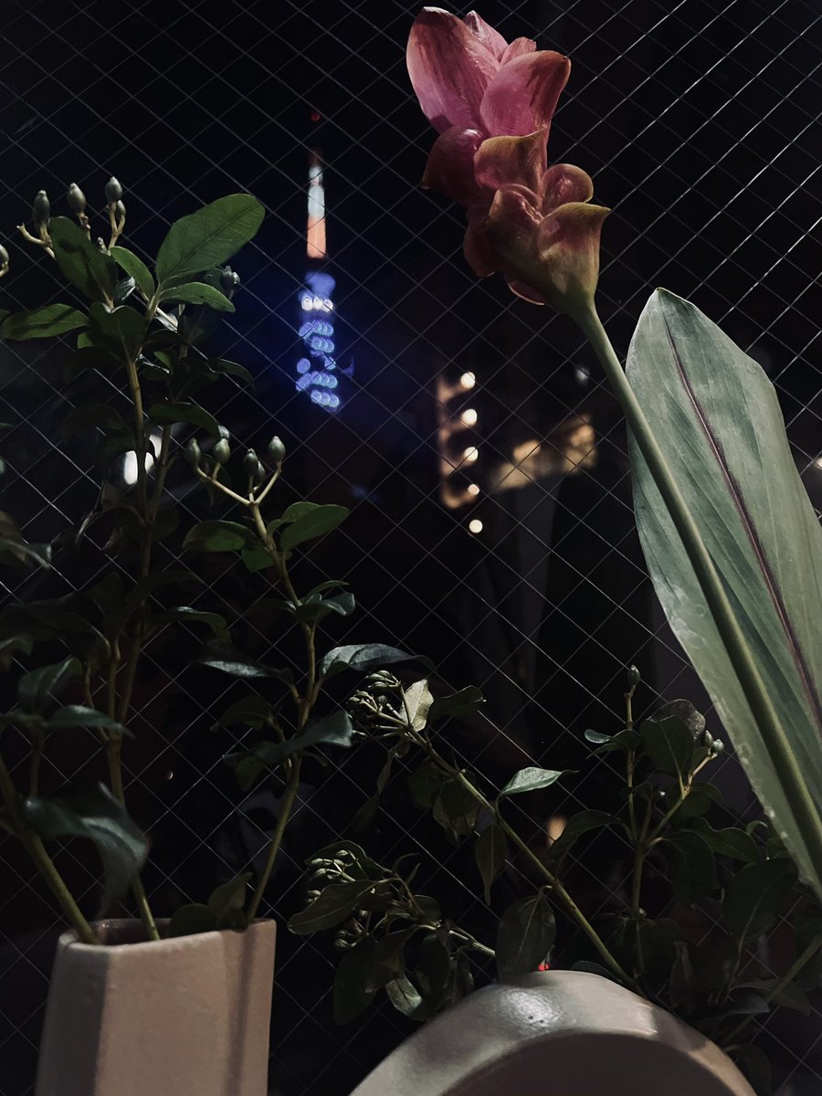 GOONie_PR2018's tweet photo. "Tokyo Tower " seen from the "edition".🗼
 Very beautiful!🥹✨

But the Tokyo Tower as seen from "GOONie" is more like me.😌 https://t.co/3jlbvRIR56