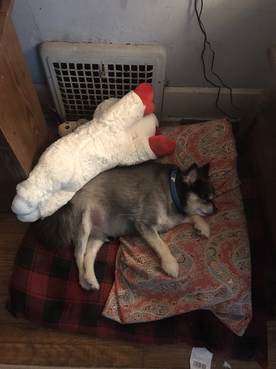 Cari Willis tweet media