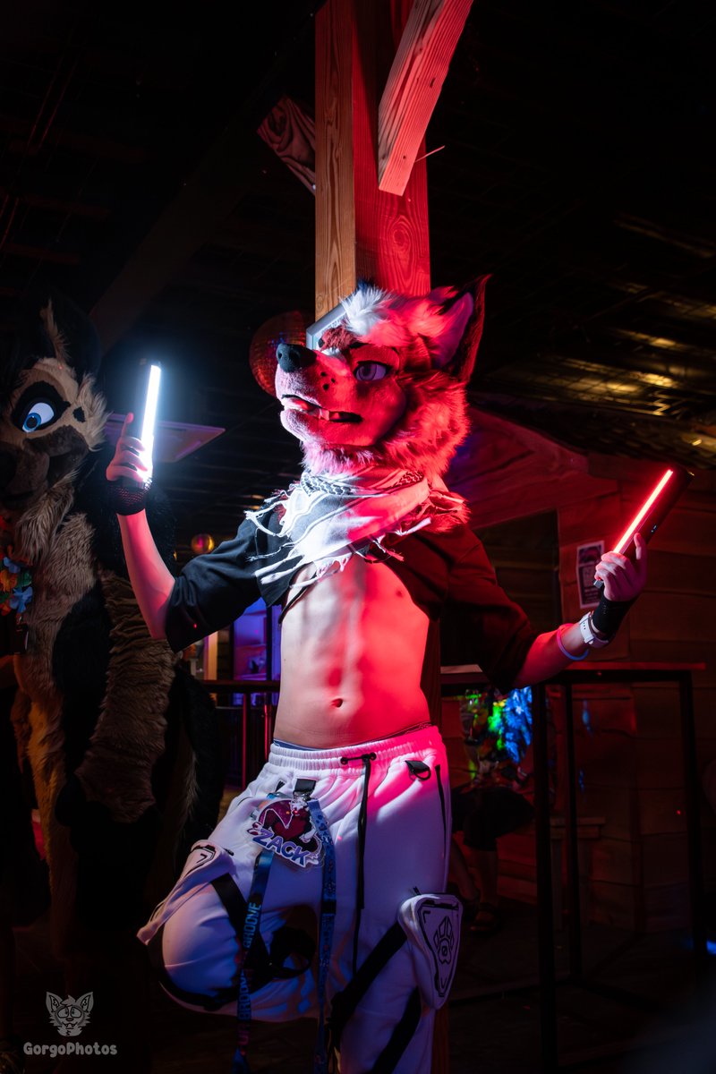 Doggo on the dance floor 🔥

📸gorgophotos.nl
#fursuitfriday