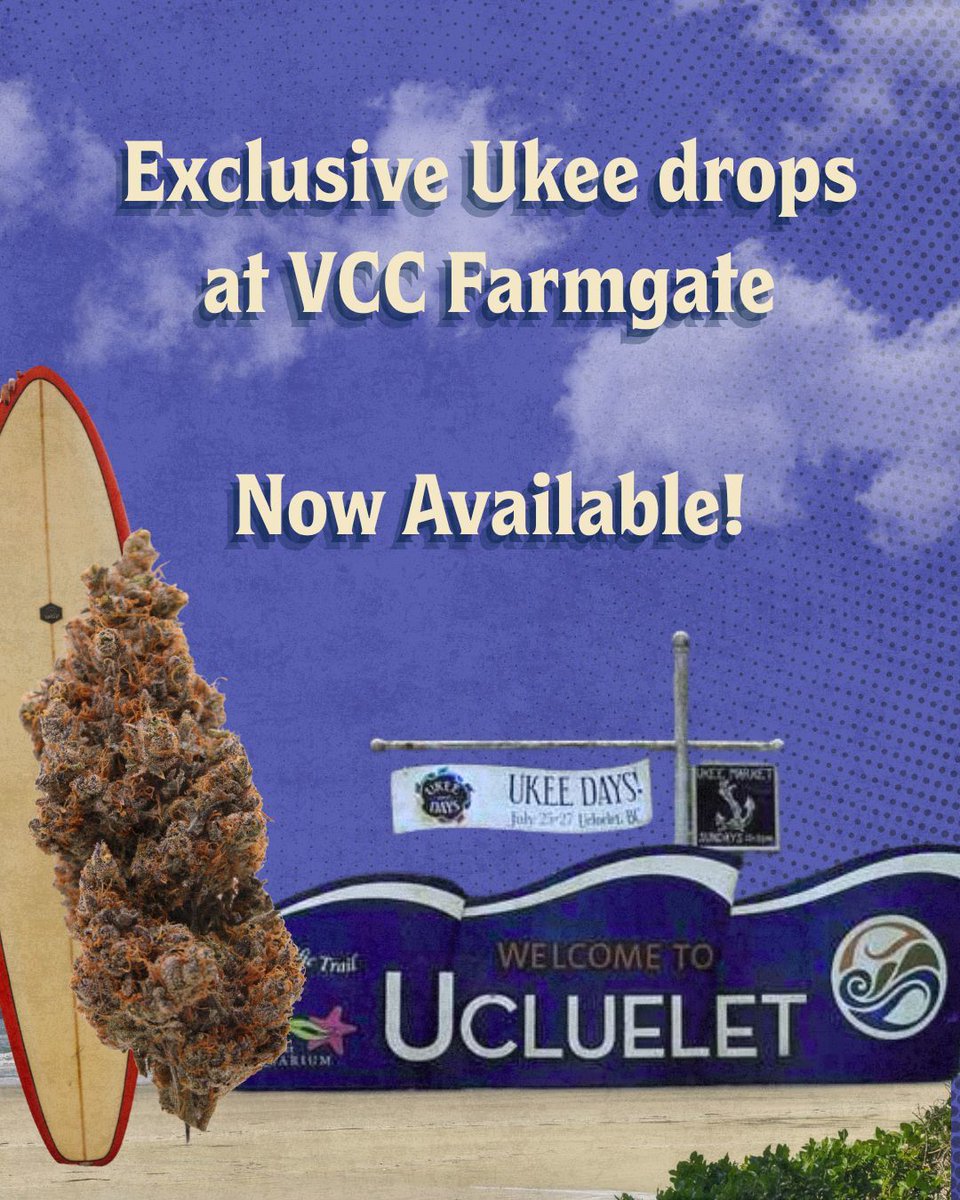 VicCannabisCo's tweet image. It is finally here, only at VCC Farmgate! We have all been waiting for this LTO ode to legacy flower. A cultivar designed for taste and experience, not for numbers. It's piney, it's citrusy, it's bright, and it's our new #dailydriver. #NoseOverNumbers #FlowerToThePeople
