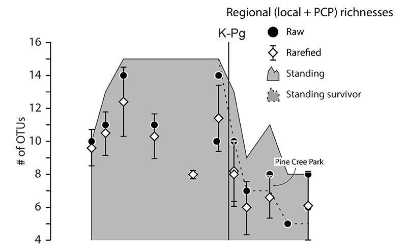 A new study shows how the K/Pg extinction hit freshwater teleosts in North America. Losses continued after the extinction event – escalating from 27% to 56% of Cretaceous taxa by the end of the early Palaeocene (Puercan stage). Mammal richness had already recovered by then!