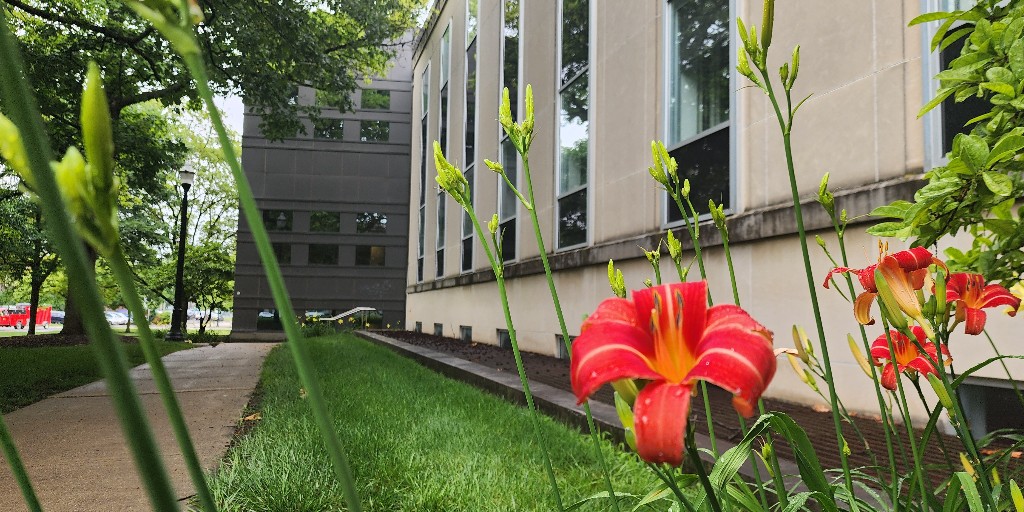 A quiet summer moment at Drinko Hall — where bold ideas bloom year-round. 

#OhioStateLaw #OhioState #CampusViews