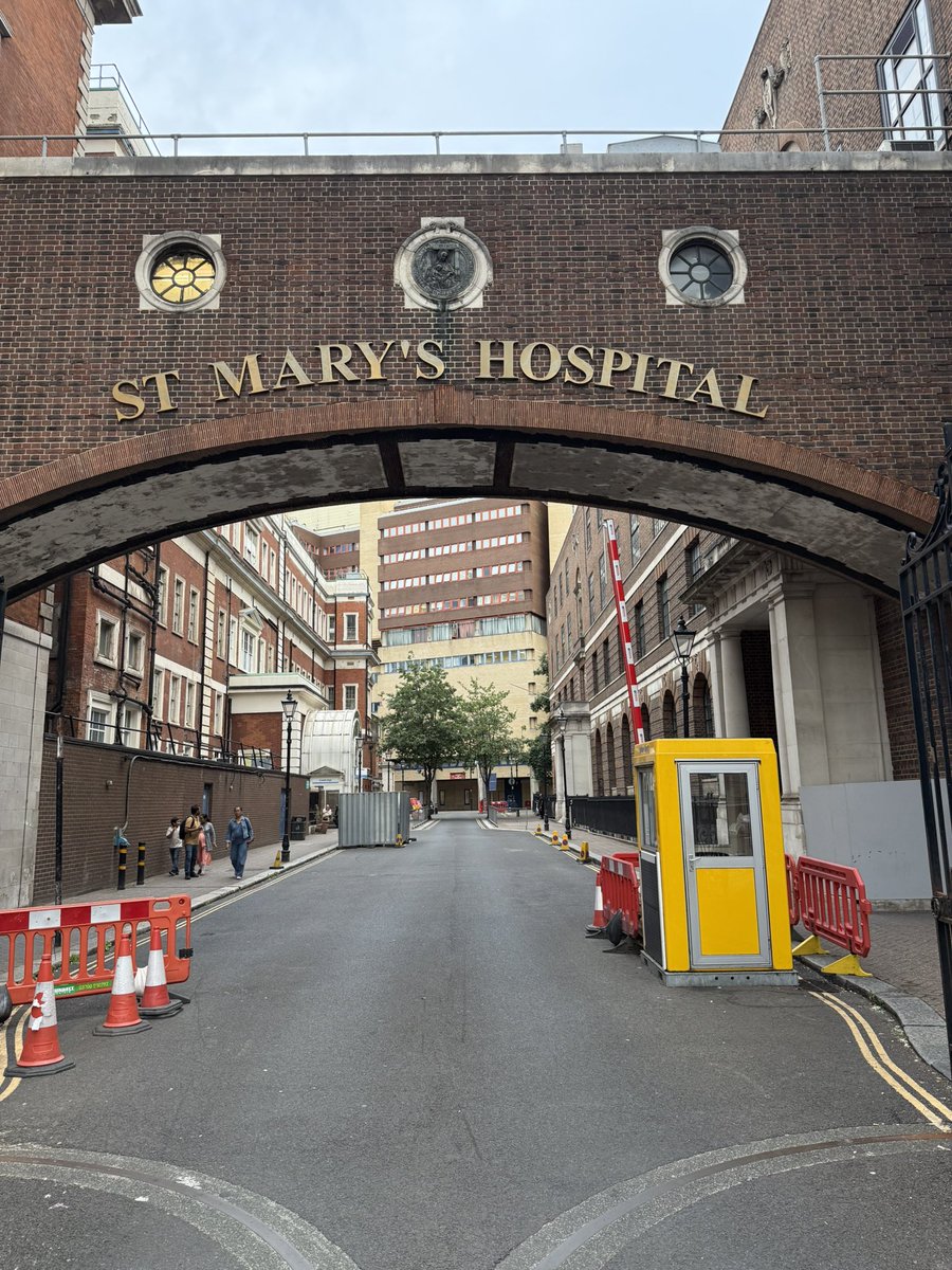 Josh Callon tweet media