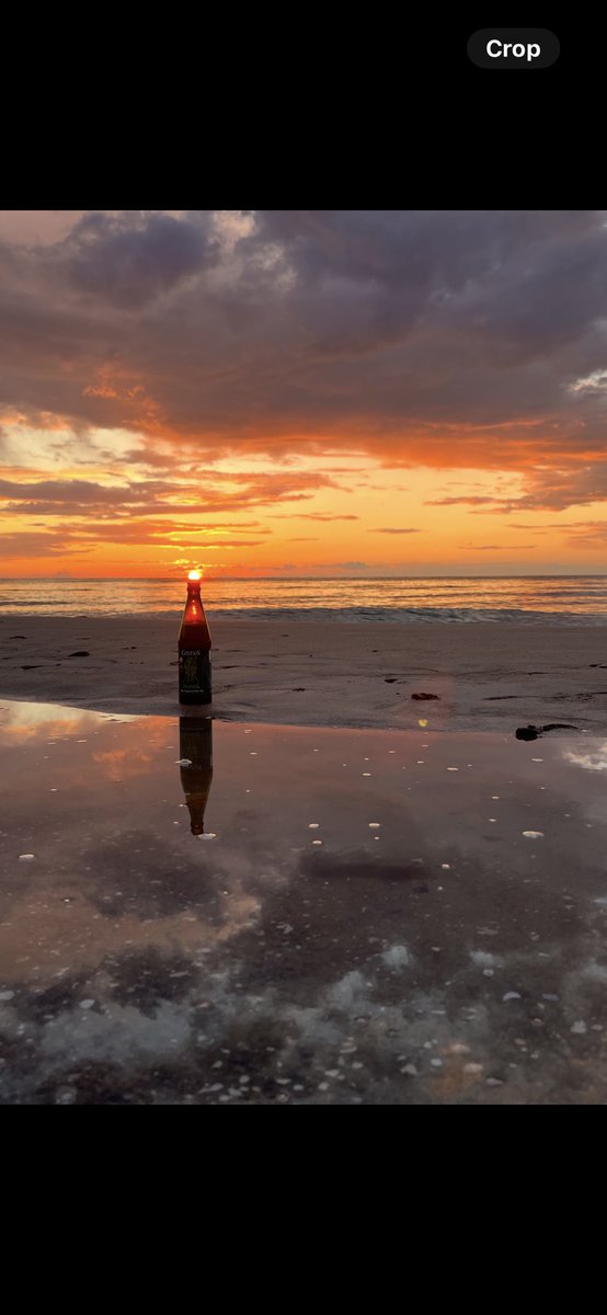 May the sun shine on you and your beer 🍻 ☀️