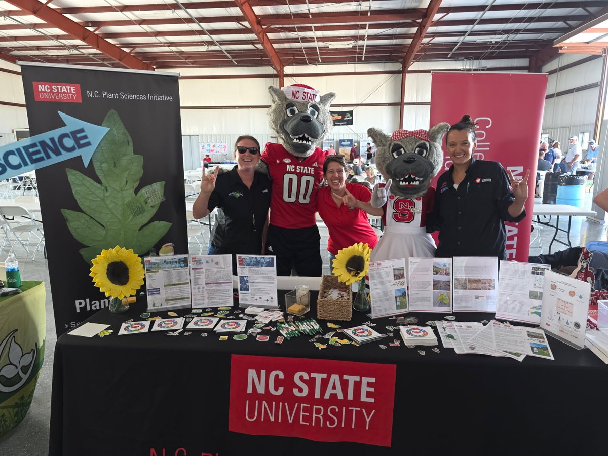 Andrea Gibbs tweet media