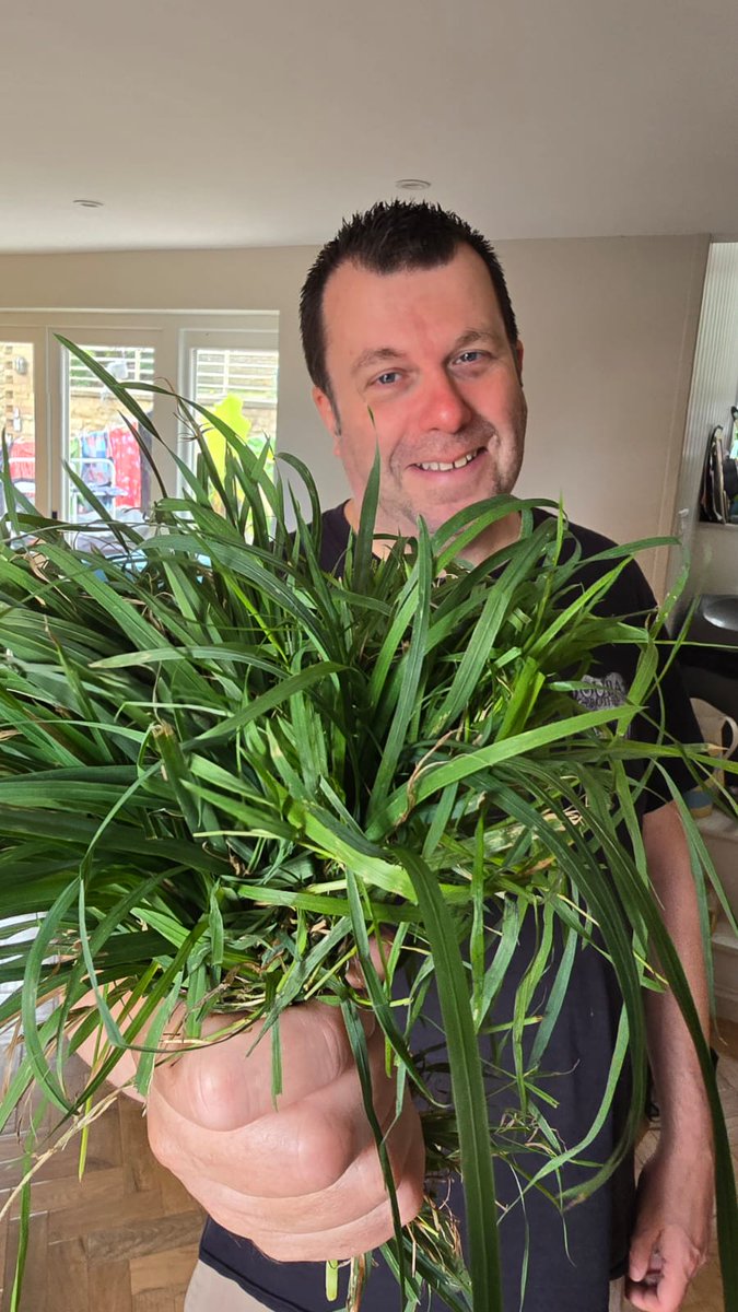 ciaranokeeffe (@ciaranokeeffe) on Twitter photo Some people give flowers and chocolates as a romantic gesture.  My wife asks for books from the bus stop and grass for the guinea pigs...😄 #lovesherguineapigs Some people give flowers and chocolates as a romantic gesture.  My wife asks for books from the bus stop and grass for the guinea pigs...😄 #lovesherguineapigs