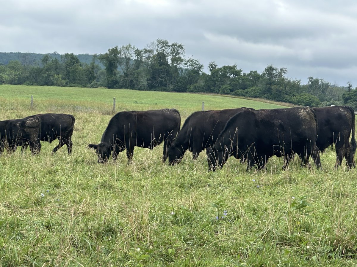 Delvin Dinkins tweet media