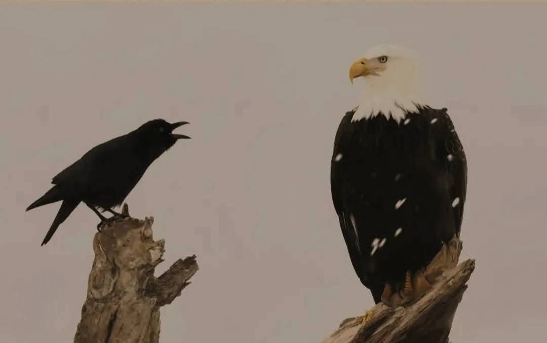 "إذا عرفت قيمة نفسك جيداً 
فلن يضرك ما قيل فيك"..
#SecretStory 
#LaCasaDeLosFamososMx 
#PerthSanta 
#LoveIslandUK 
#ทหารกัมพูชา 
#MasterChefCelebrityColombia 
#الهلال 
#الخميس_الونيسᅠ 
#اليماني_مطلب_الاهلاويين