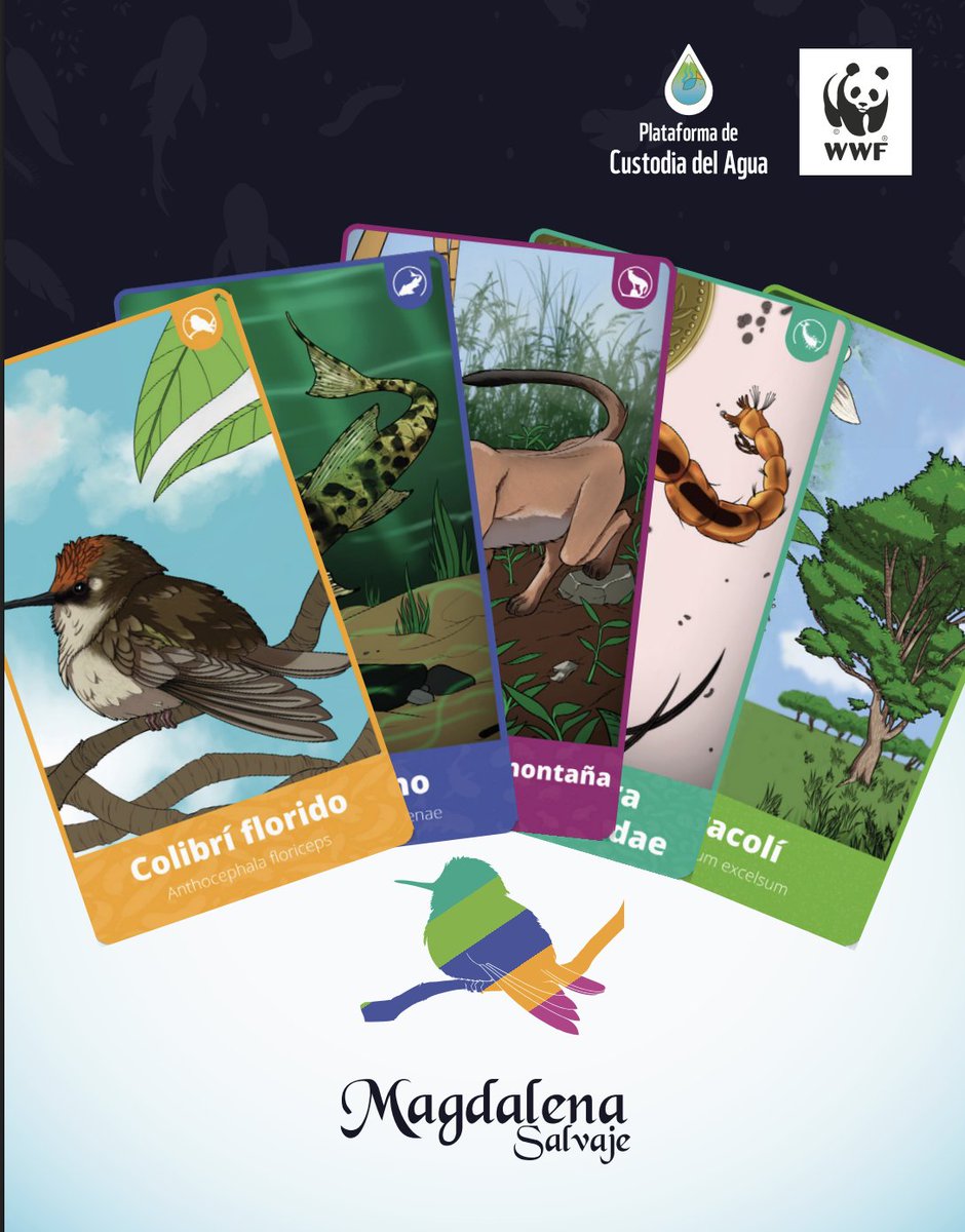 FNAmbiental's tweet photo. ¿Qué tanto sabe sobre la biodiversidad en los ríos que conectan la #SierraNevada y la #CiénagaGrande de Santa Marta⁉️

@WWFColombia creó un juego de cartas para aprender jugando #MagdalenaSalvaje

🌿🃏40 cartas de flora, fauna y más...
 Descúbralo aquí ⤵️
https://t.co/VJBFB8tLwX https://t.co/Ssxnuz7Ne4