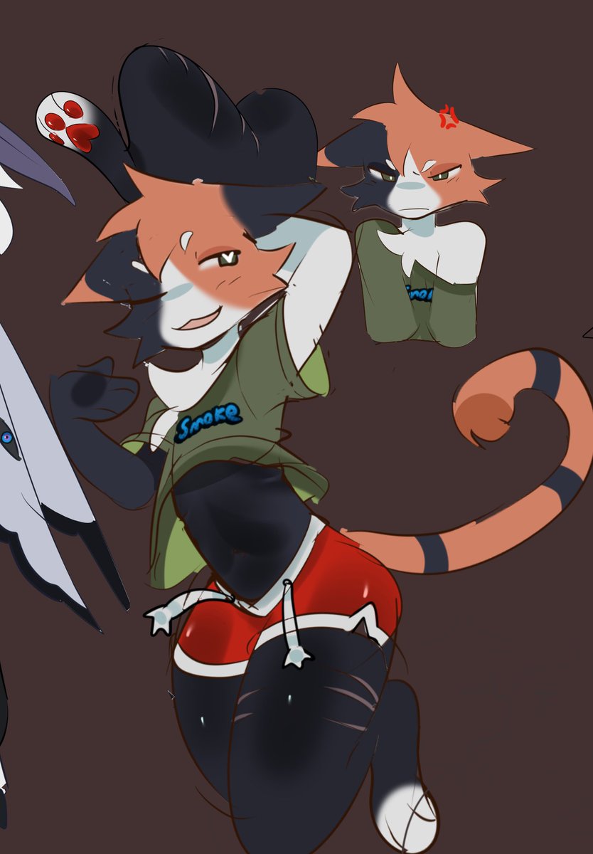 Hot_dogCat tweet media