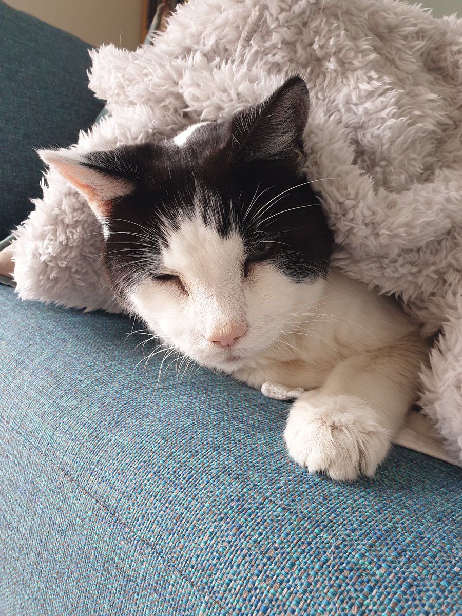 Justine Greene tweet media