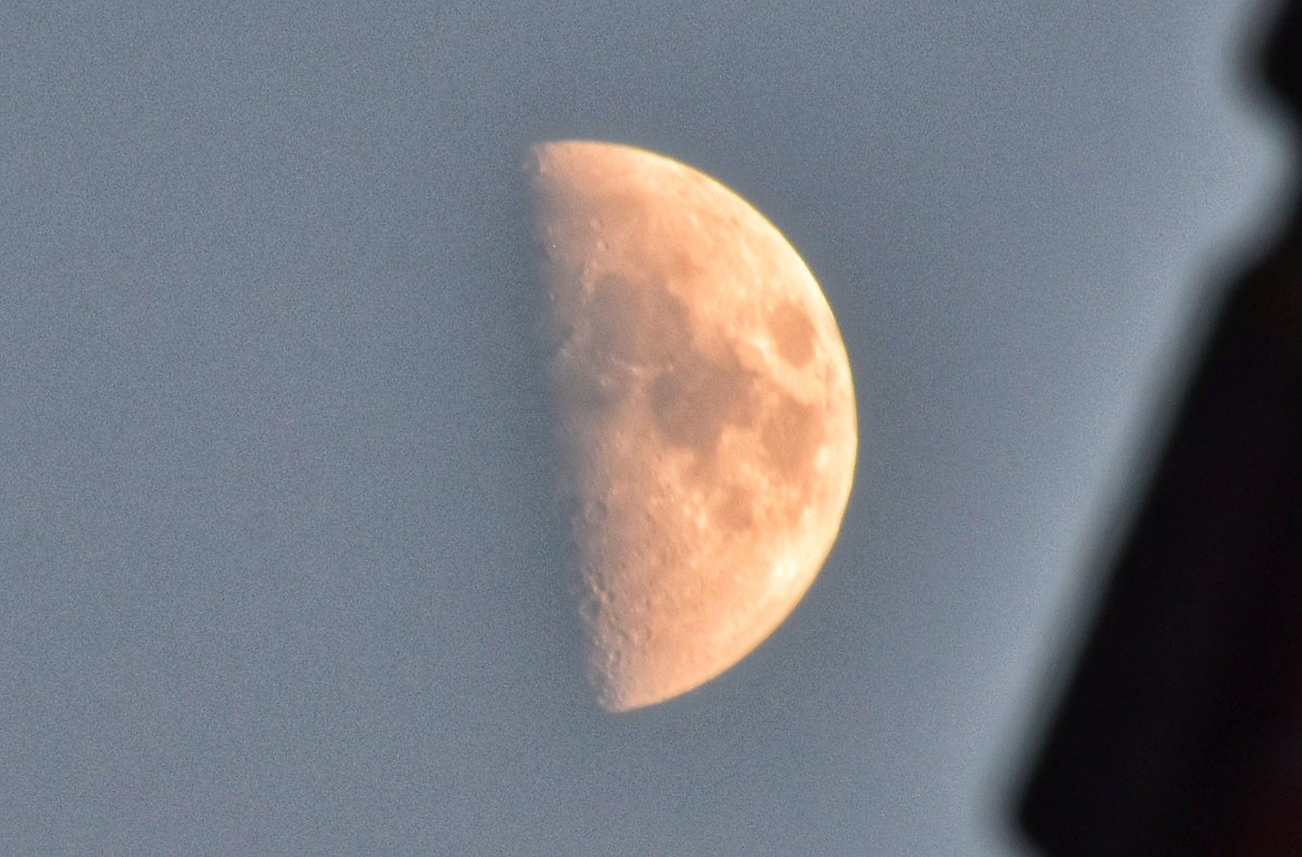 Goedenavond de #maan is weer over de #helft #halvemaan nu op 52 % staat vrij laag komt niet boven de daken uit in #Alblasserdam #weerfoto