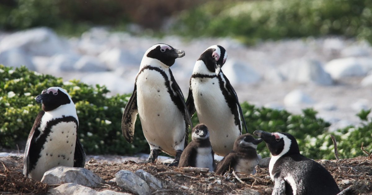 Marine Dynamics tweet media