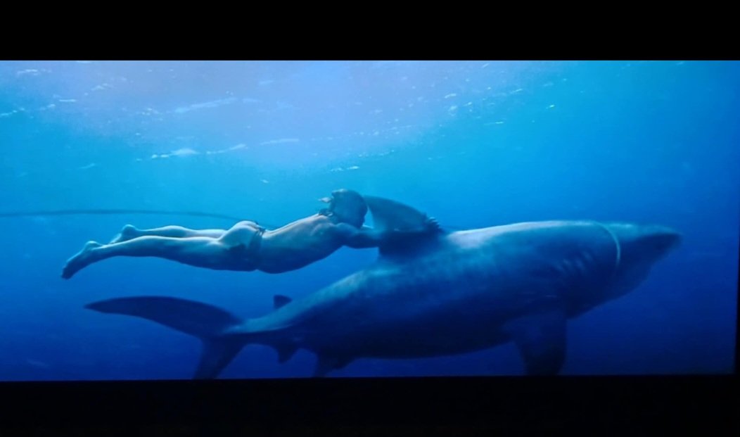 I'm watching Chief of War and in the first 5 minutes, a butt naked Jason Mamoa catches a giant shark with bare hands 😆